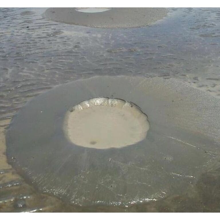 Mud craters at Puerto Caldera caused by today's earthquake