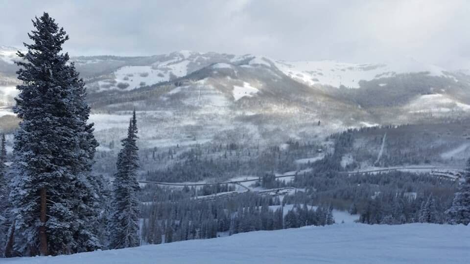 A snow-covered mountain landscape with a dense forest and a clear sky.