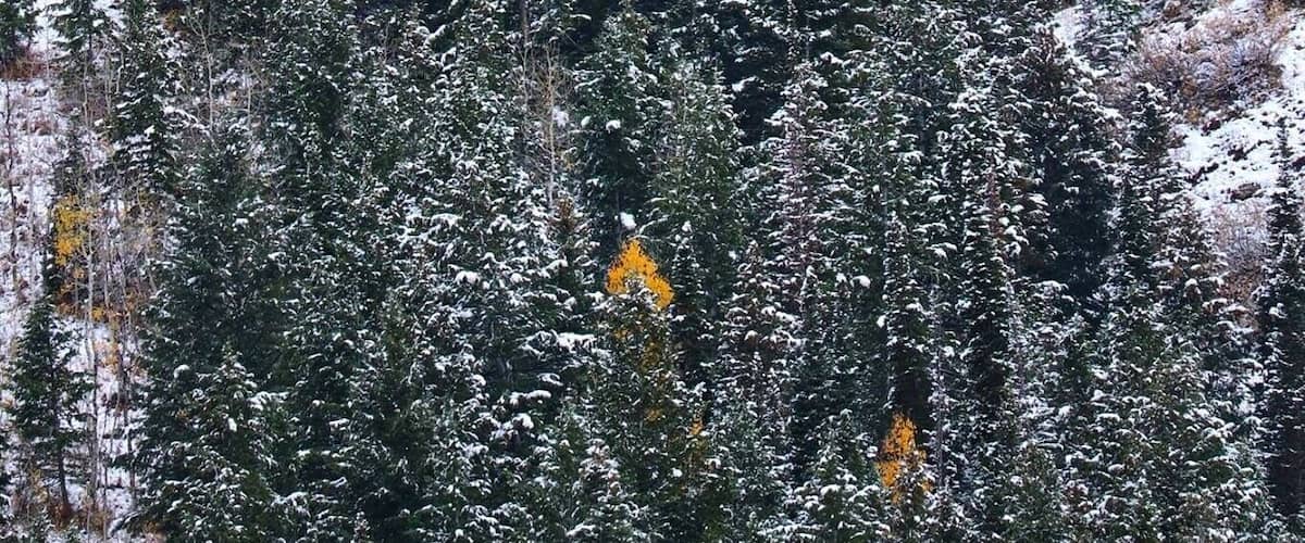 #utahexperience #utahcaptures #utahphotographer #utah #utahgram #utahisrad #utahstate #weUtah #weRutah #wowutah #igutah #instawow #iloveutah #instautah #explore #exploreutah #xputah #visitutah #visitsaltlake #instaweatherpro #ItsAmazingOutThere #weatherchannel #pictureoftheday #picturelinepictureoftheday #kutv2news #fallcolors #autumn #snow