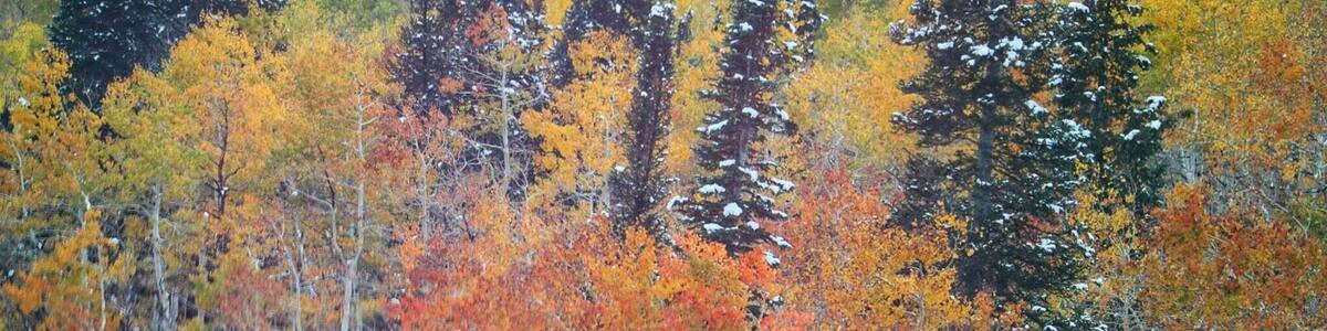 #utahexperience #utahcaptures #utahphotographer #utah #utahgram #utahisrad #utahstate #weUtah #weRutah #wowutah #igutah #instawow #iloveutah #instautah #explore #exploreutah #xputah #visitutah #visitsaltlake #instaweatherpro #ItsAmazingOutThere #weatherchannel #pictureoftheday #picturelinepictureoftheday #kutv2news #fallcolors #autumn #solitudemountainresort