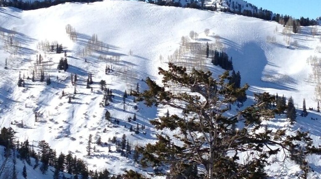 Great view of Honeycomb Canyon