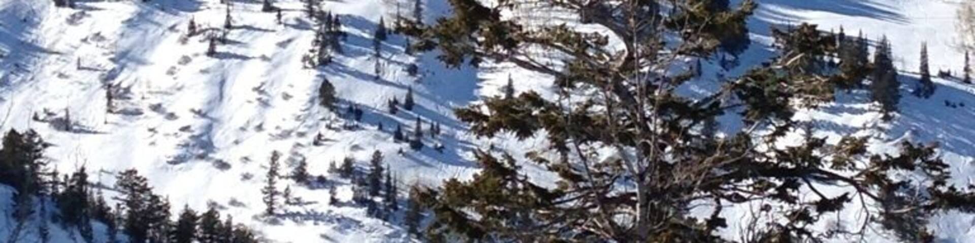 Great view of Honeycomb Canyon