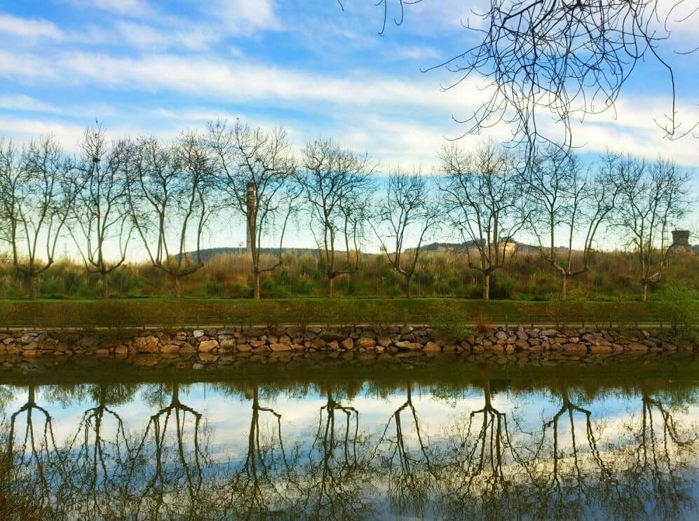 Lovely ride around the Avilès estuary. Asturias. Spain. #reflections#myhometown #hometown  #nature #sky #tree #water #river #aviles #asturias #spain #BVSBlue #waterlust
