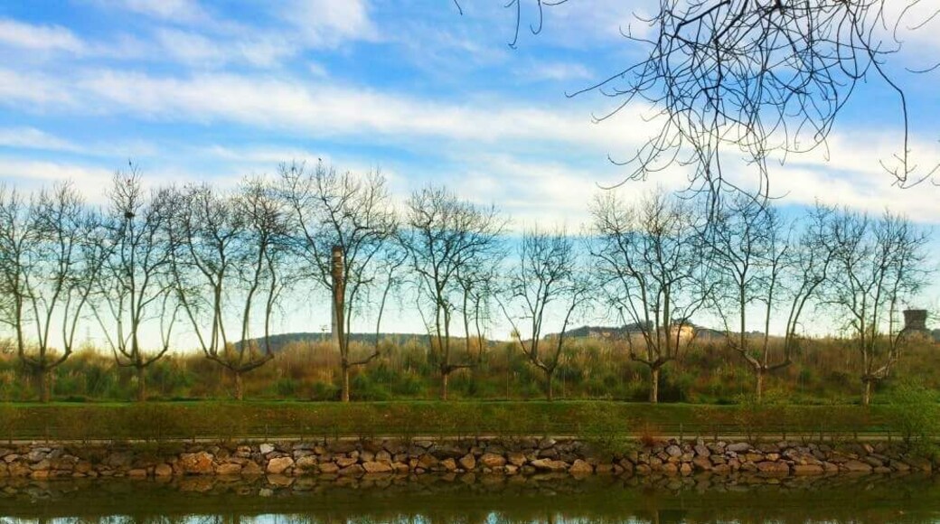 Lovely ride around the AvilĂšs estuary. Asturias. Spain. #reflections#myhometown #hometown #nature #sky #tree #water #river #aviles #asturias #spain #BVSBlue #waterlust