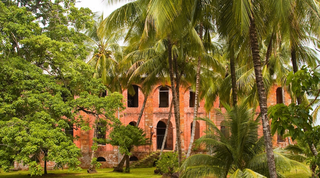 Arrondissement de Cayenne