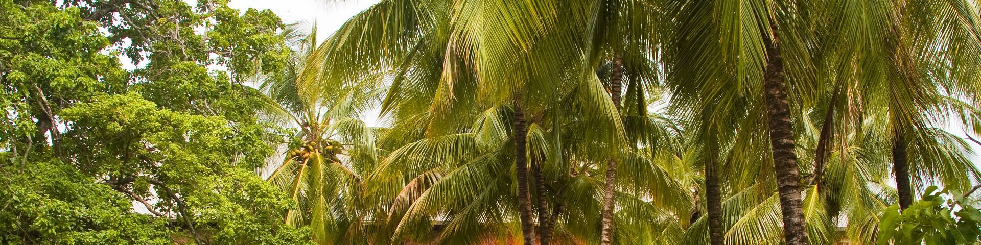 A building on Devils Island in French Guiana