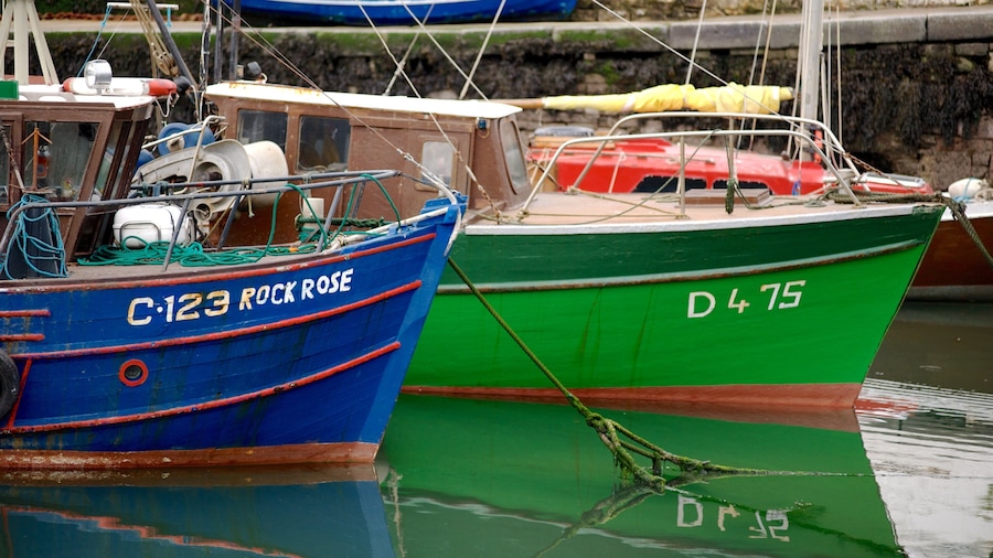 Cobh which includes a marina, boating and a coastal town