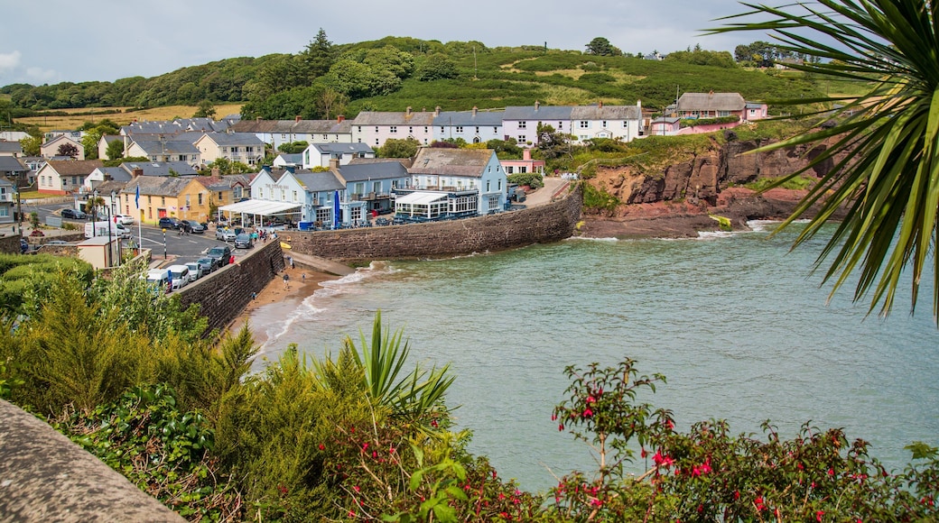 Dunmore East featuring rugged coastline and a coastal town