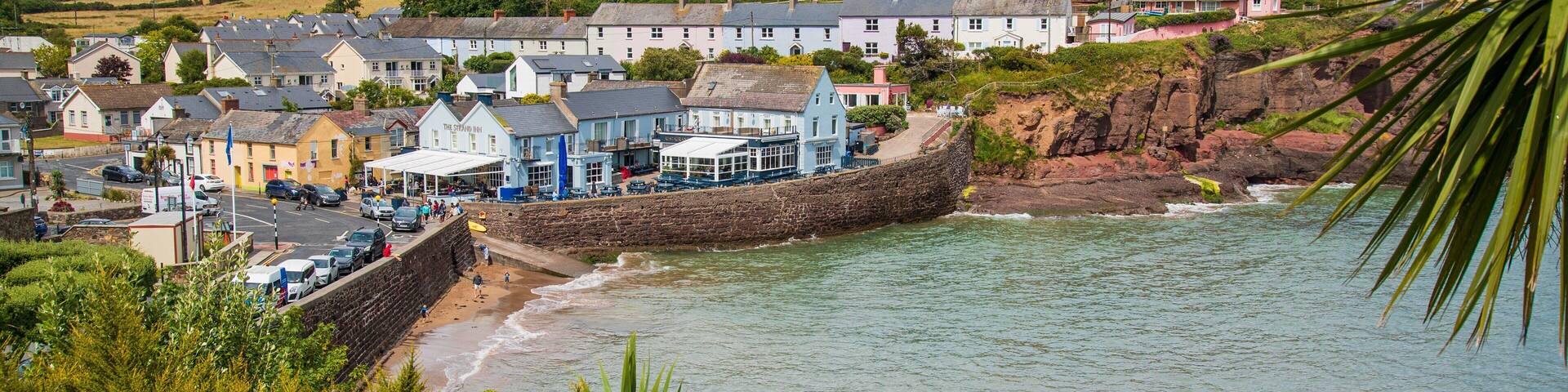 Dunmore East featuring rugged coastline and a coastal town