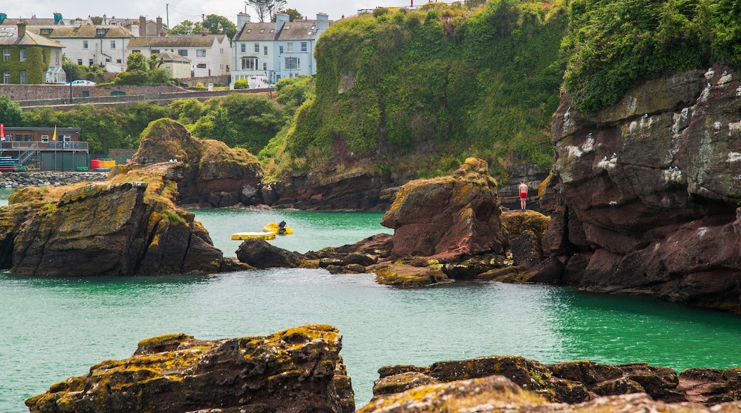 Dunmore East which includes rocky coastline and general coastal views
