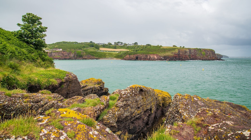 Dunmore East featuring general coastal views and rocky coastline