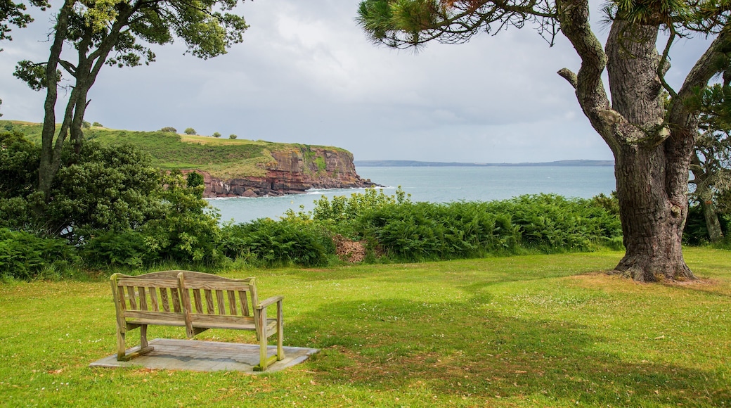 Dunmore East which includes general coastal views, rocky coastline and a garden
