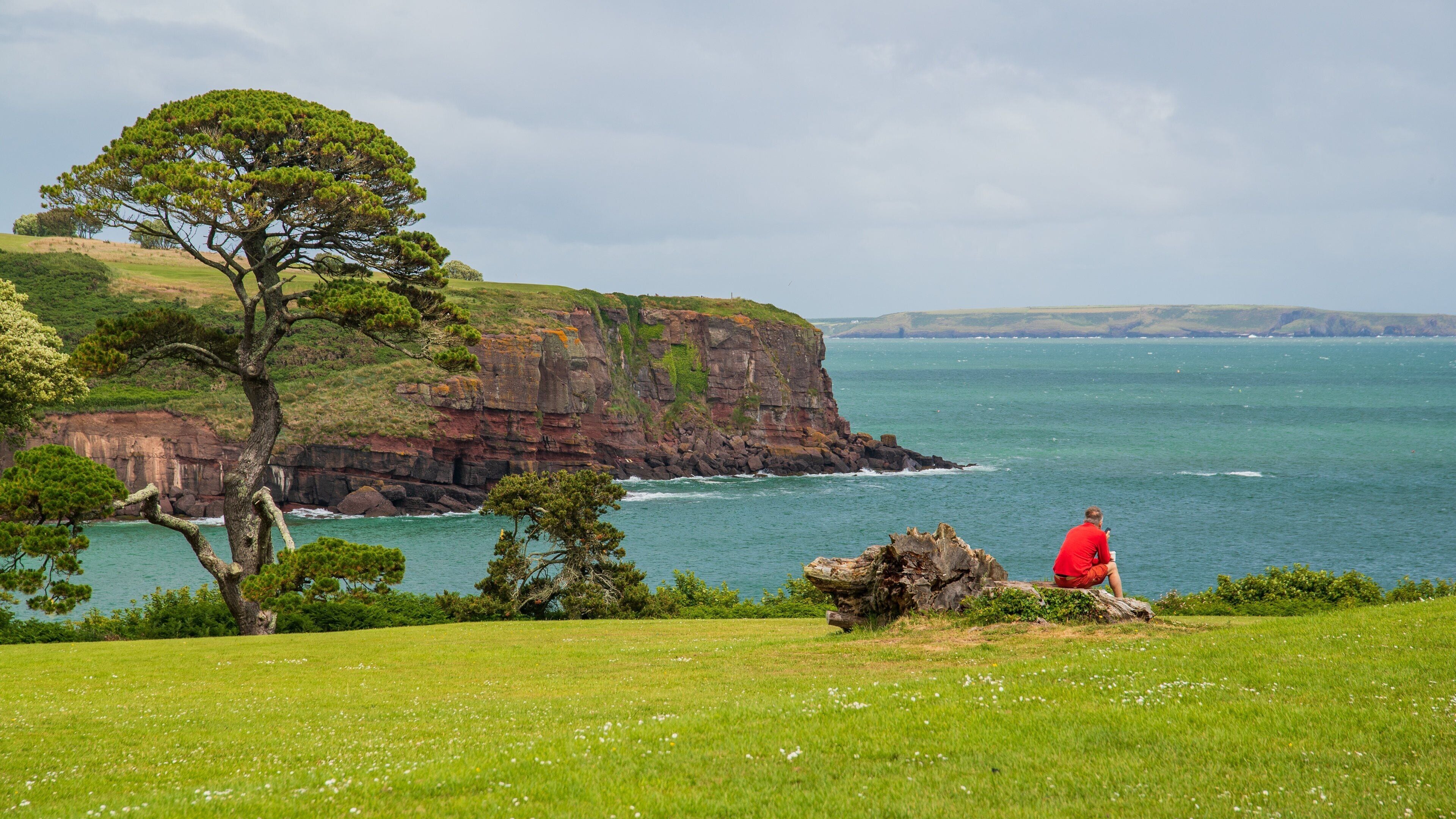 Dunmore East showing rocky coastline and general coastal views as well as an individual male