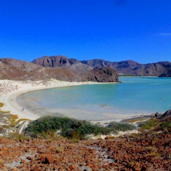Balandra is a huge beach area and not very busy. The sandbar runs completely across the bay allowing you wade from one side to the other. It is sheltered from wave action in almost every direction. There are occasional stingrays so walk carefully.