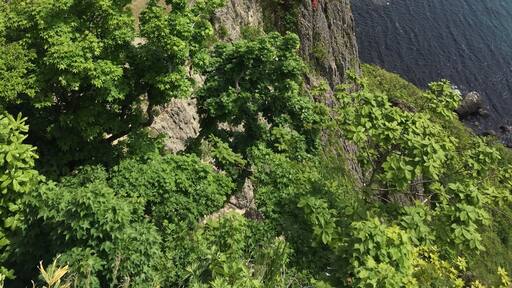 Beautiful coast line and light house, we took the hop on and off bus, as it covered a lot of different area and you could even go to one of the Onsen Spas (If you wanted to).
