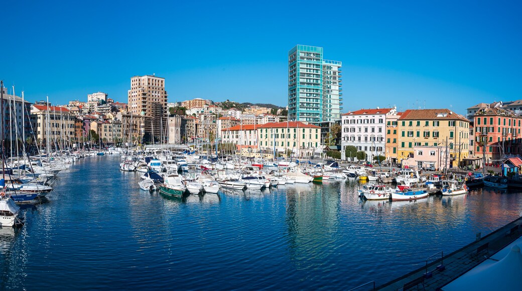 Savona