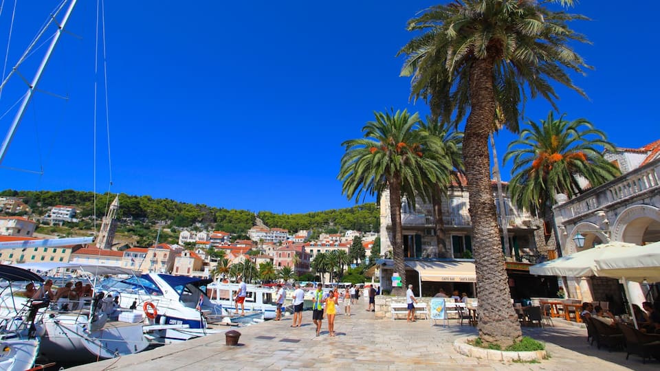 A marina with boats, palm trees, and buildings with red roofs.
