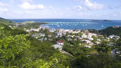 Mayreau