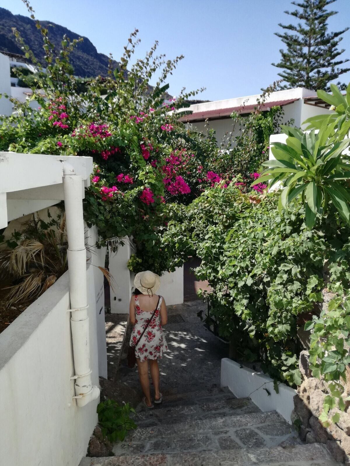 #panaerea #aeolianislands #summer #lifeatexpedia #wewhotravel