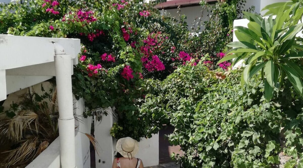 #panaerea #aeolianislands #summer #lifeatexpedia #wewhotravel