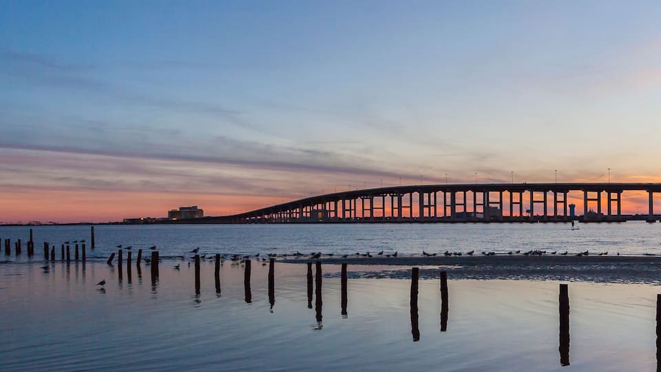 A sunset over a bridge with birds on the shore.