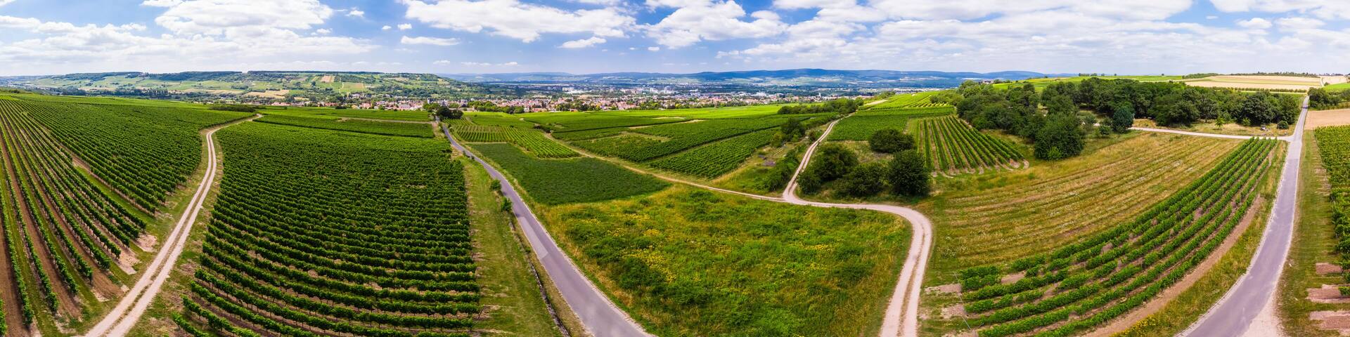 Luftbild über Weinberge auf Ingelheim am Rhein, Rheinland-Pfalz, Deutschland
