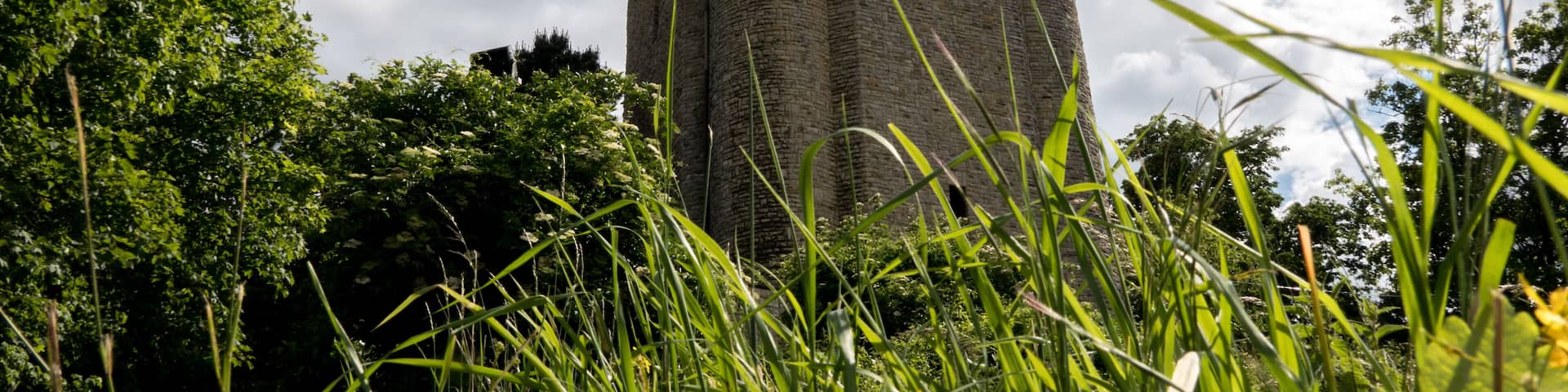 A great shot from walk