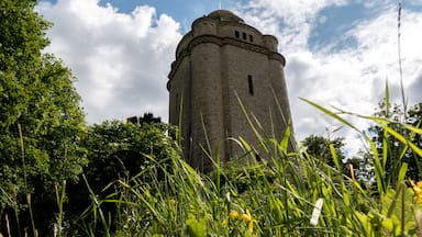 A great shot from walk