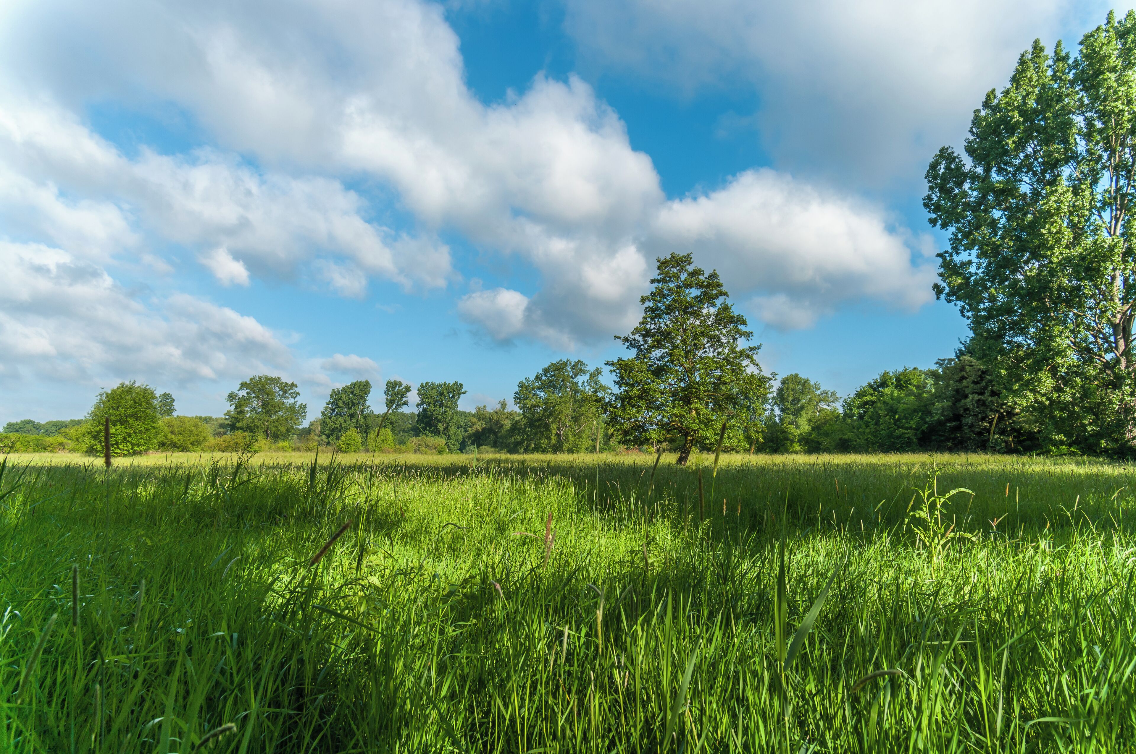 This is a picture of the protected area listed at WDPA under the ID