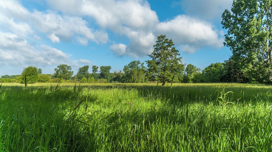 This is a picture of the protected area listed at WDPA under the ID