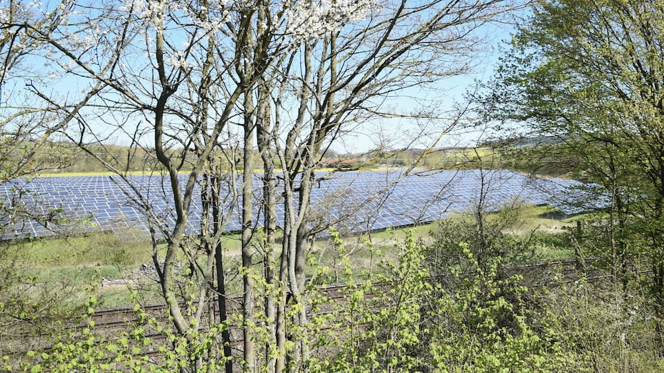 A landscape with solar panels and trees.