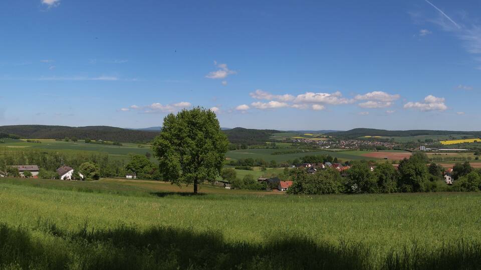 A rural landscape with rolling hills, a prominent tree, and scattered houses.