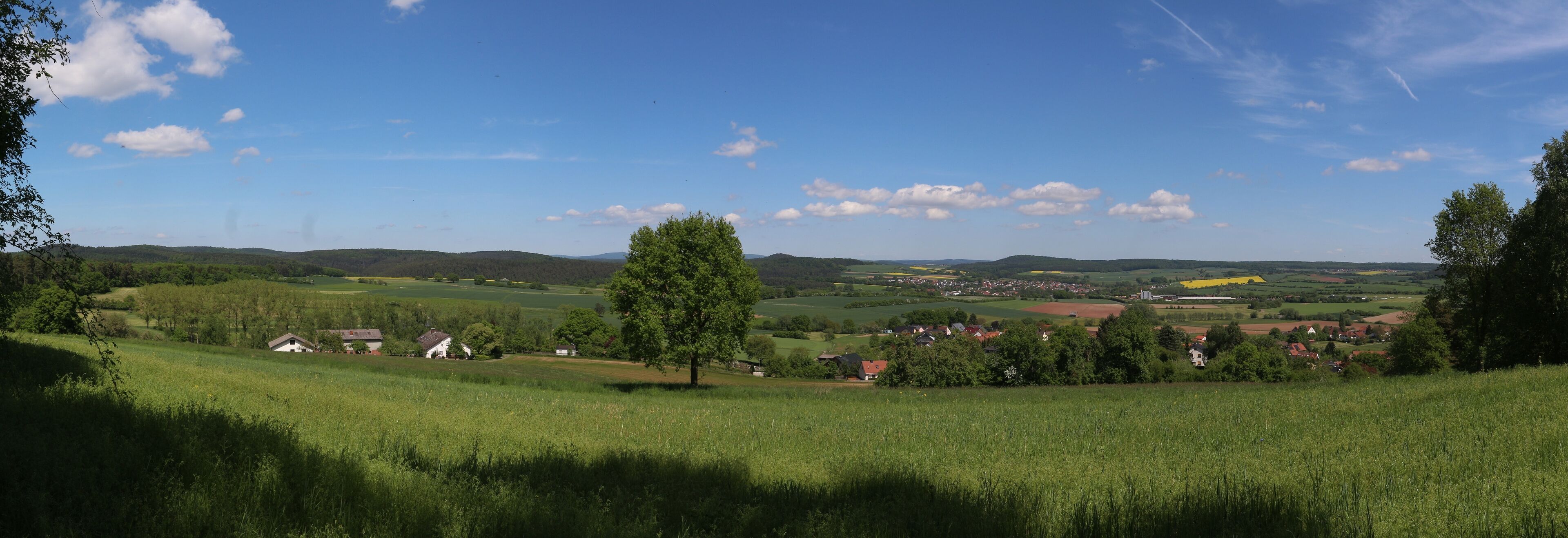 A rural landscape with rolling hills, a prominent tree, and scattered houses.