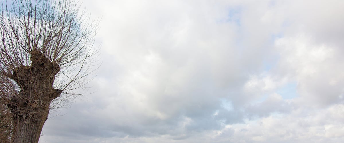 Weser in Windheim (Petershagen), NRW, Deutschland.