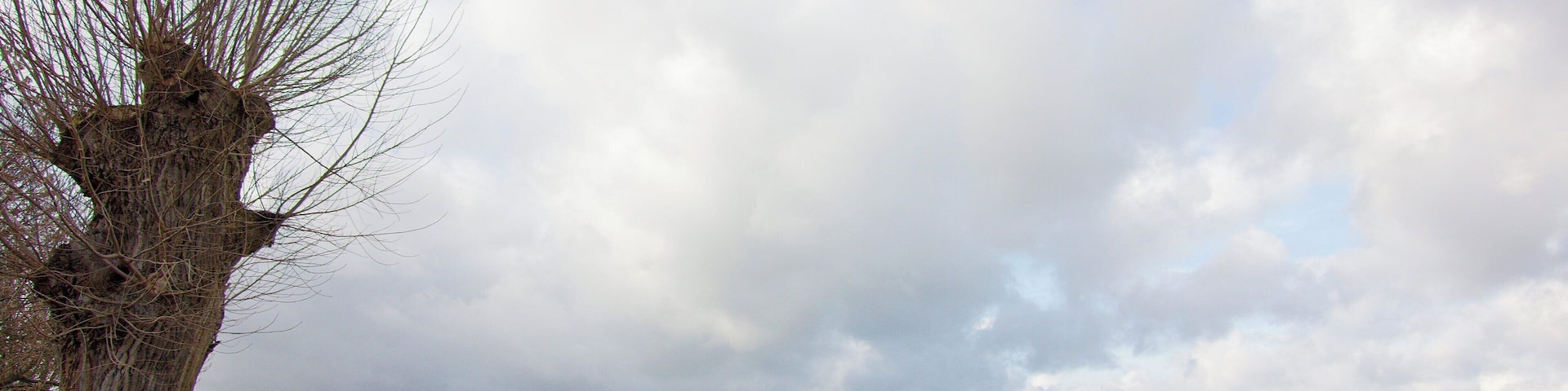 Weser in Windheim (Petershagen), NRW, Deutschland.