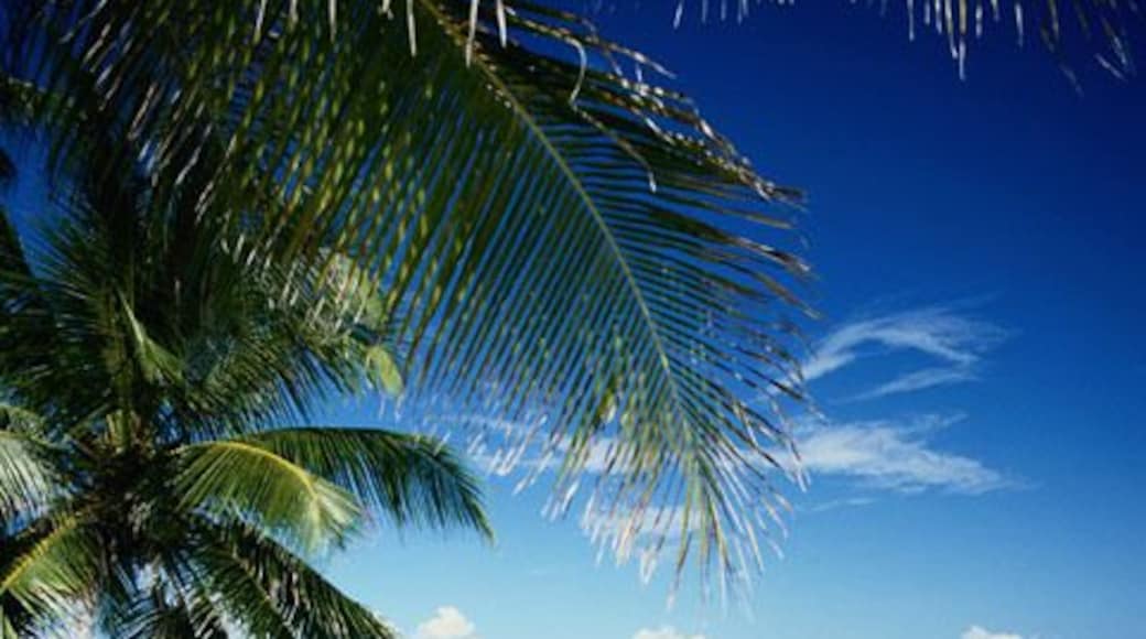 Maldives, Ihuru Island, tropical lagoon