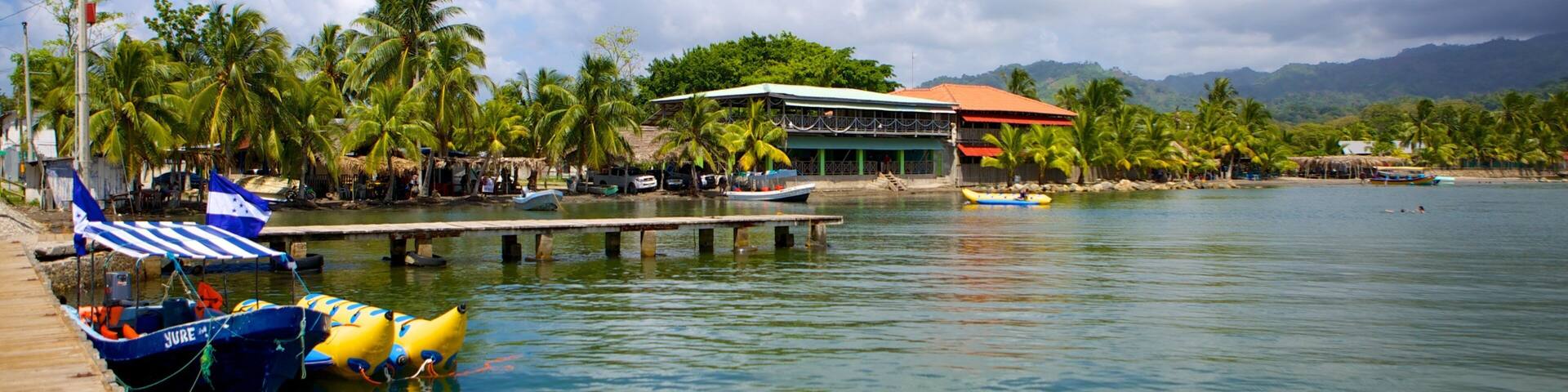 Omoa featuring boating, tropical scenes and general coastal views