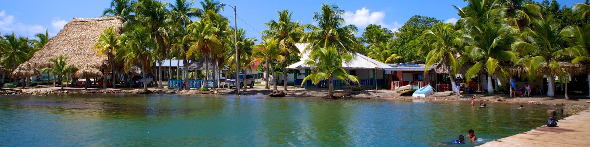 Omoa which includes swimming, landscape views and tropical scenes