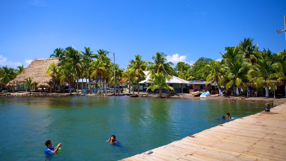 A tropical beach with clear blue water, palm trees, and wooden structures.