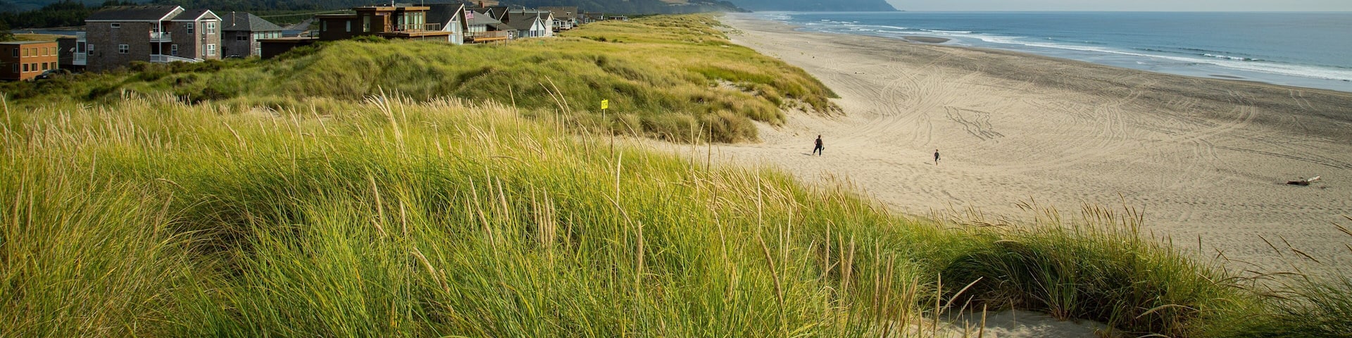 A beach with houses on a grassy hill.