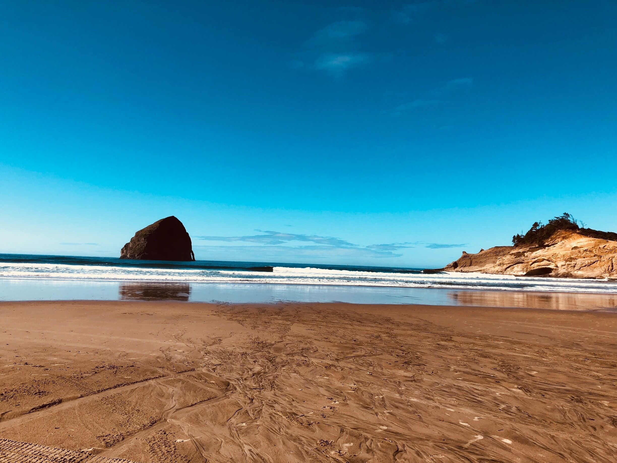 Beautiful day on the beach at Cape Kiwanda in Pacific City today. 