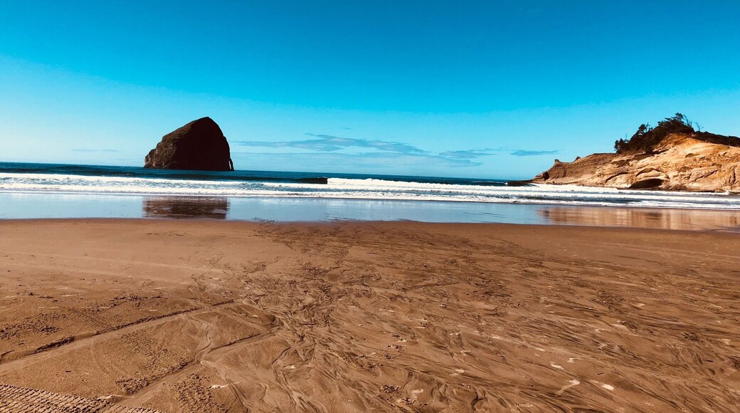 Beautiful day on the beach at Cape Kiwanda in Pacific City today.