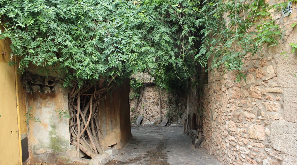 Esplugues de Llobregat