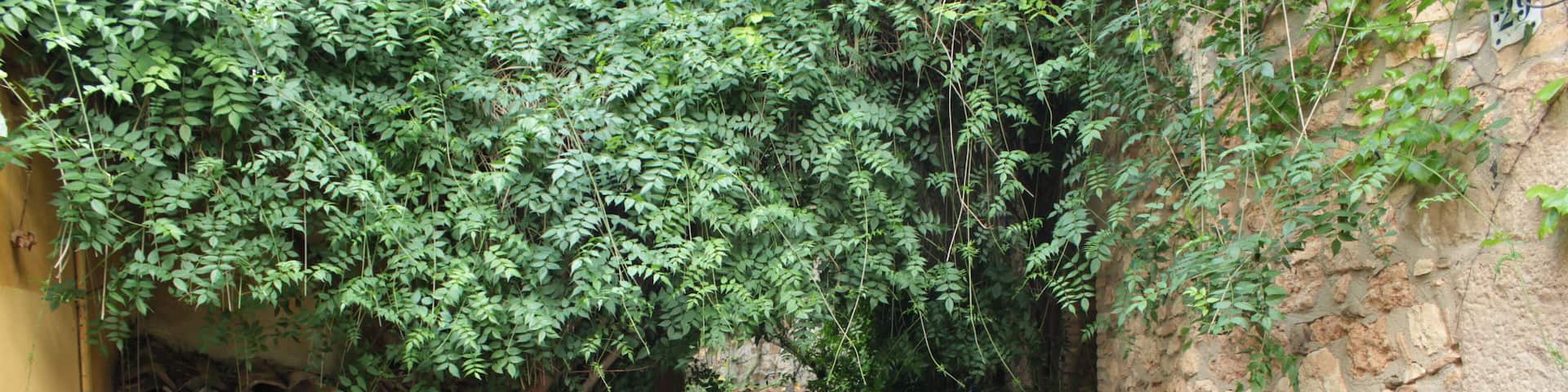 Antique houses in Esplugues de LLobregat, Barcelona, Catalonia, Spain