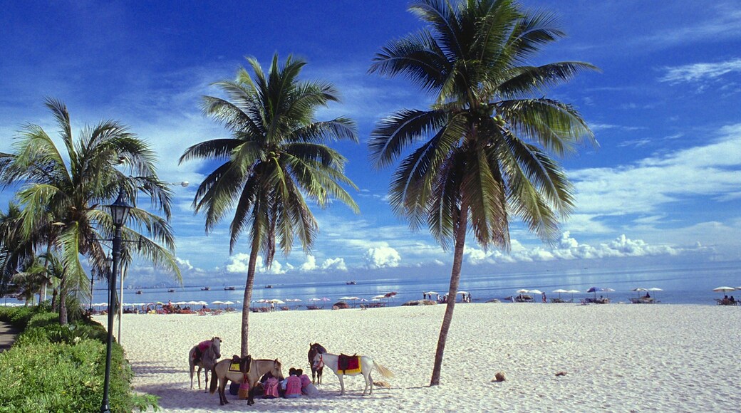 Prachuap Khiri Khan som viser sandstrand og tropisk landskap