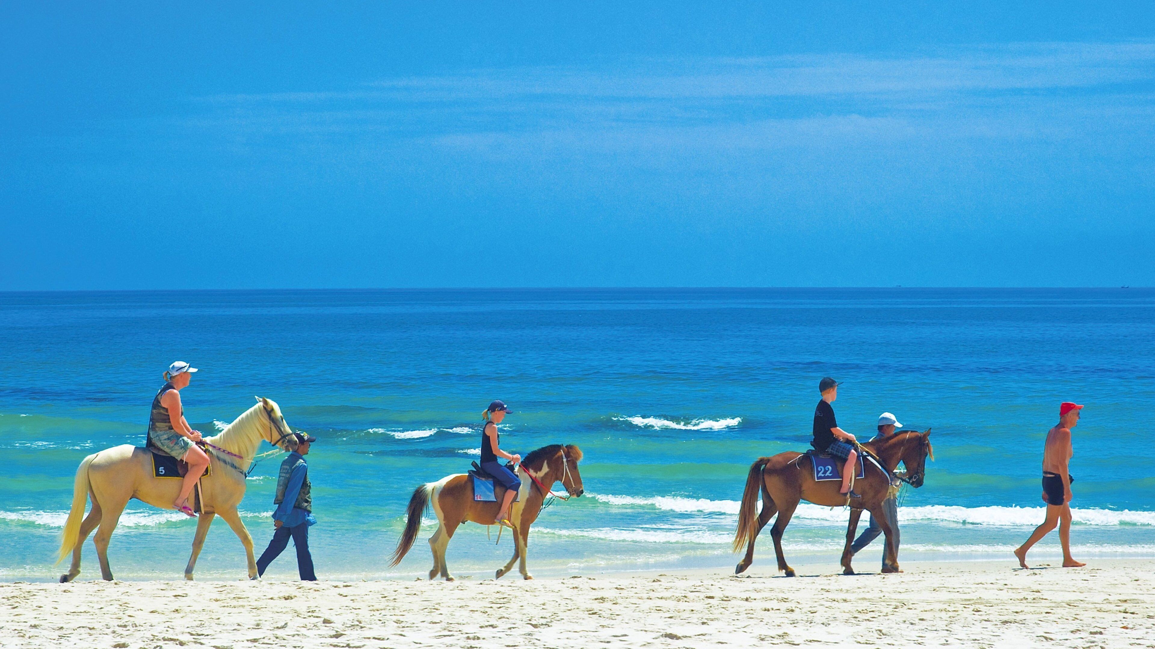 Prachuap Khiri Khan featuring a sandy beach, horseriding and land animals