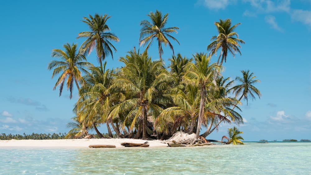 Une plage tropicale avec une eau turquoise cristalline, des palmiers et une rive sablonneuse.
