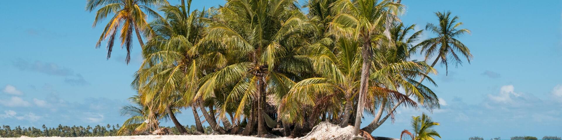 A tropical beach with clear turquoise water, palm trees, and a sandy shore.