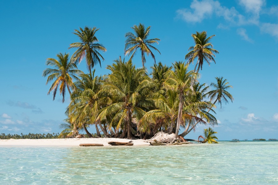 A tropical beach with clear turquoise water, palm trees, and a sandy shore.
