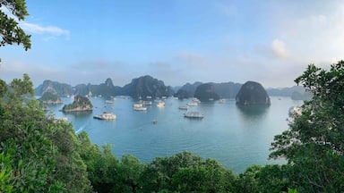 A coastal scene with numerous boats on calm waters, surrounded by lush green islands and rocky formations.